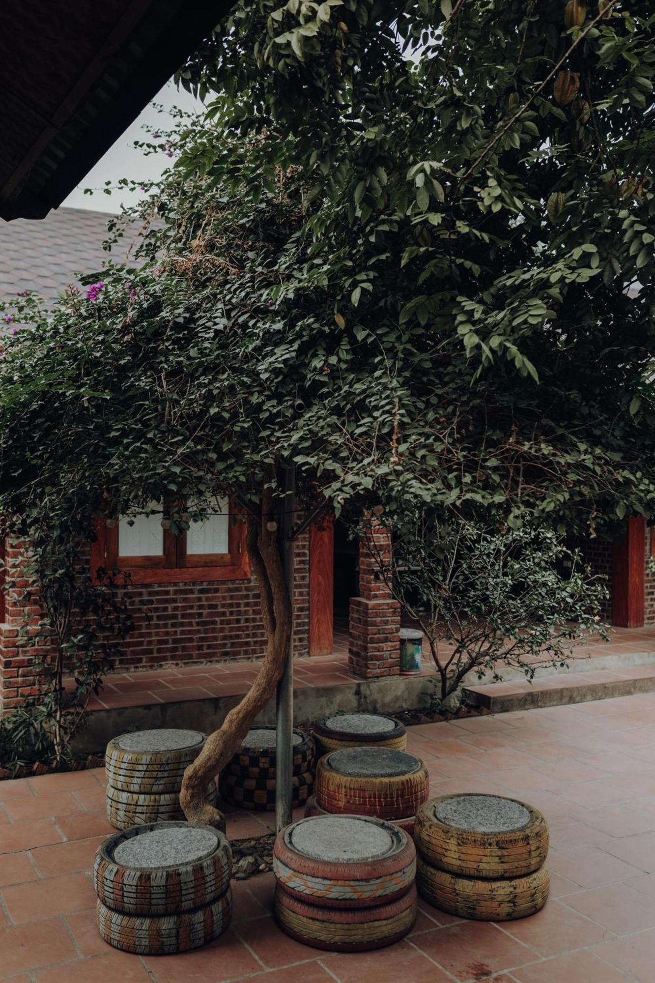Ninh Binh Palm Homestay Esterno foto