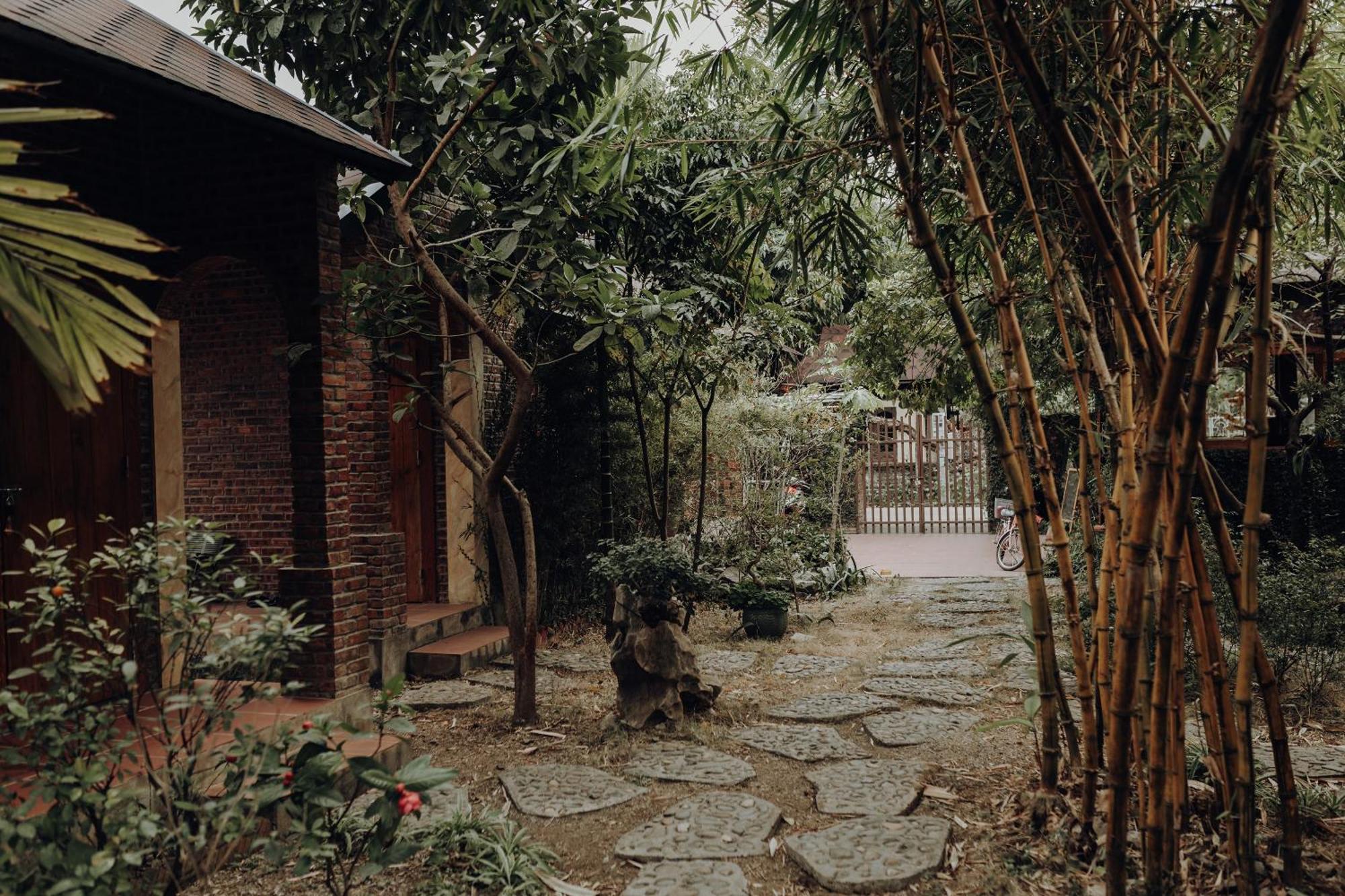 Ninh Binh Palm Homestay Esterno foto