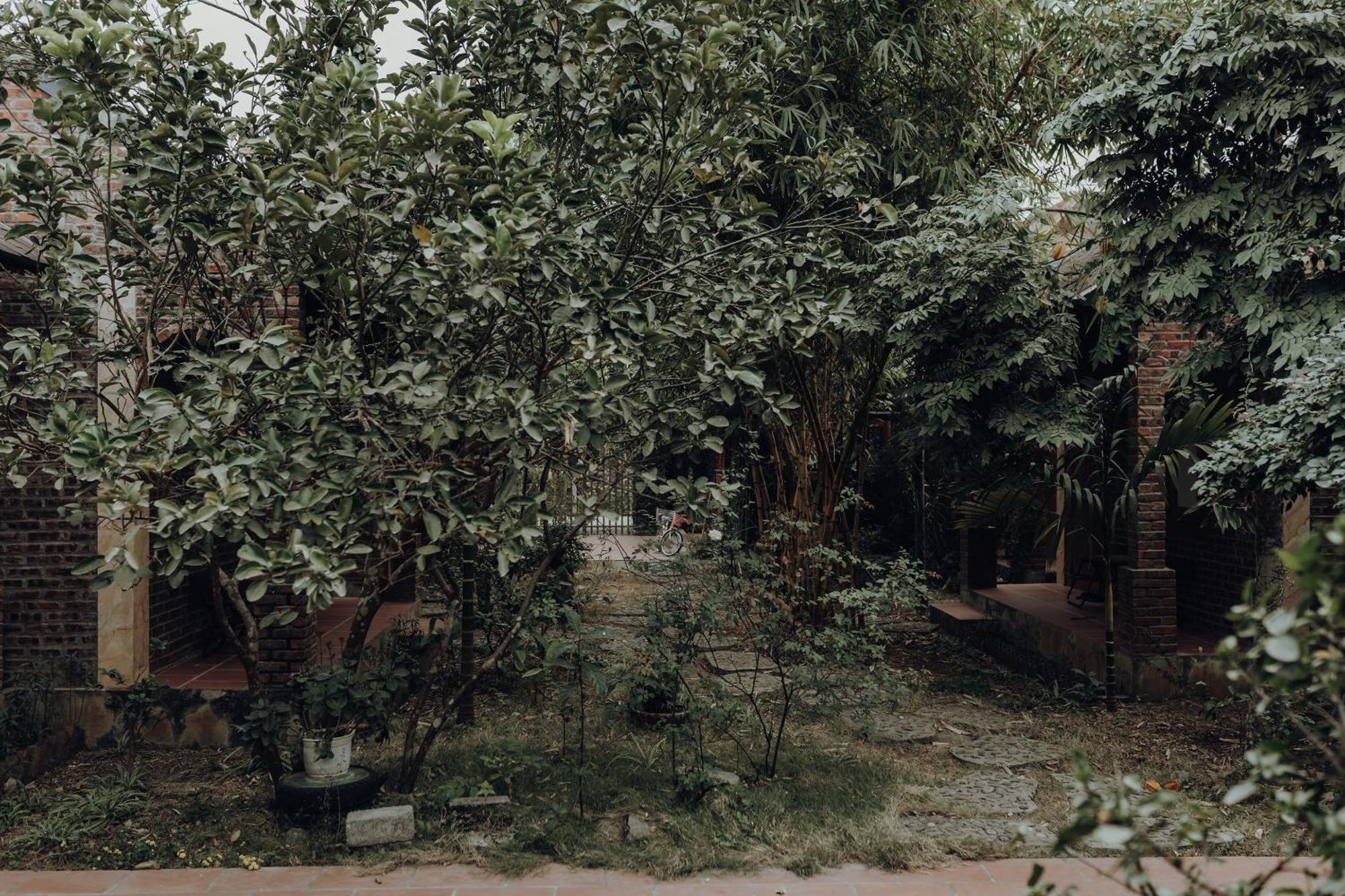 Ninh Binh Palm Homestay Esterno foto