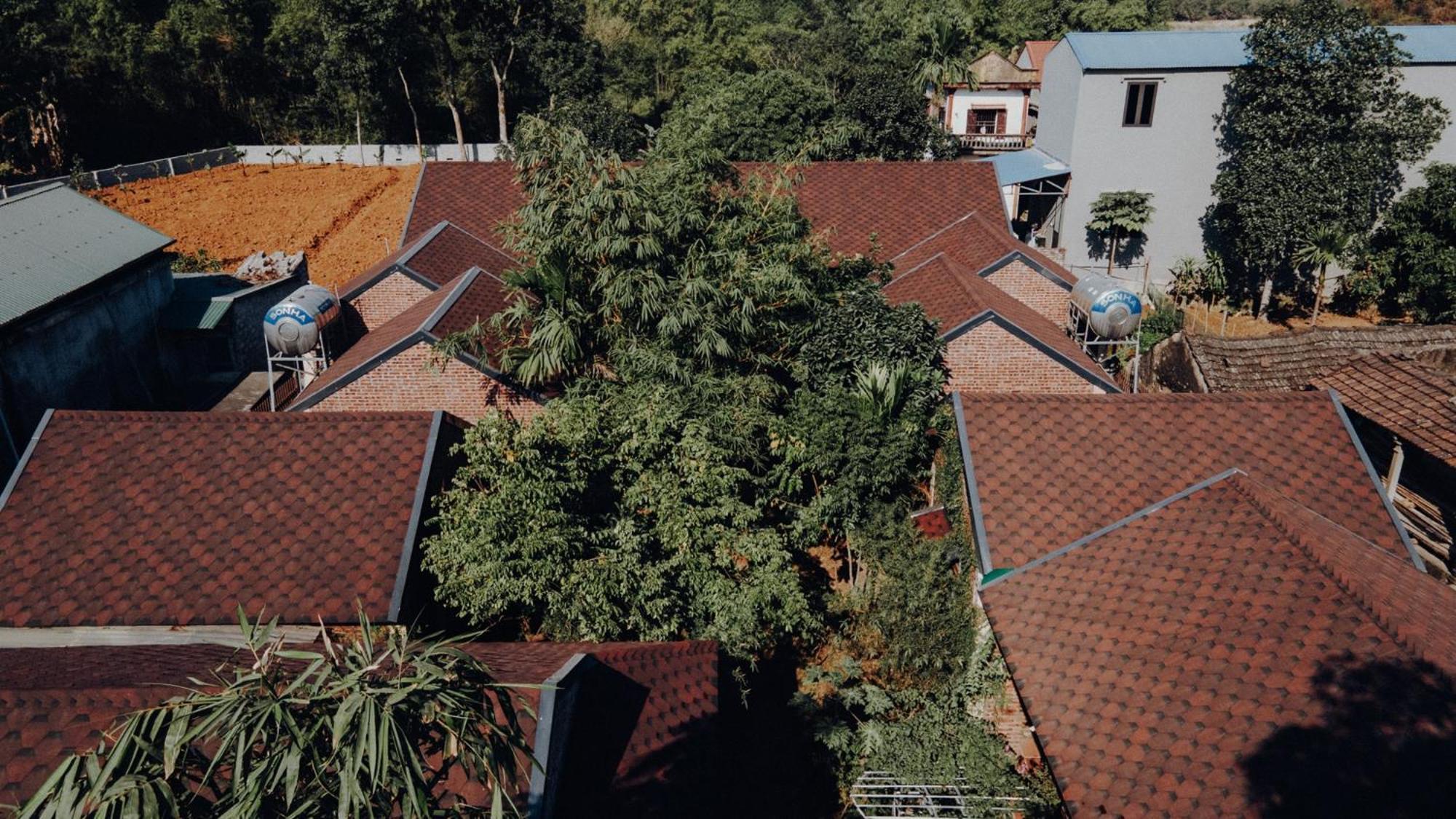 Ninh Binh Palm Homestay Esterno foto